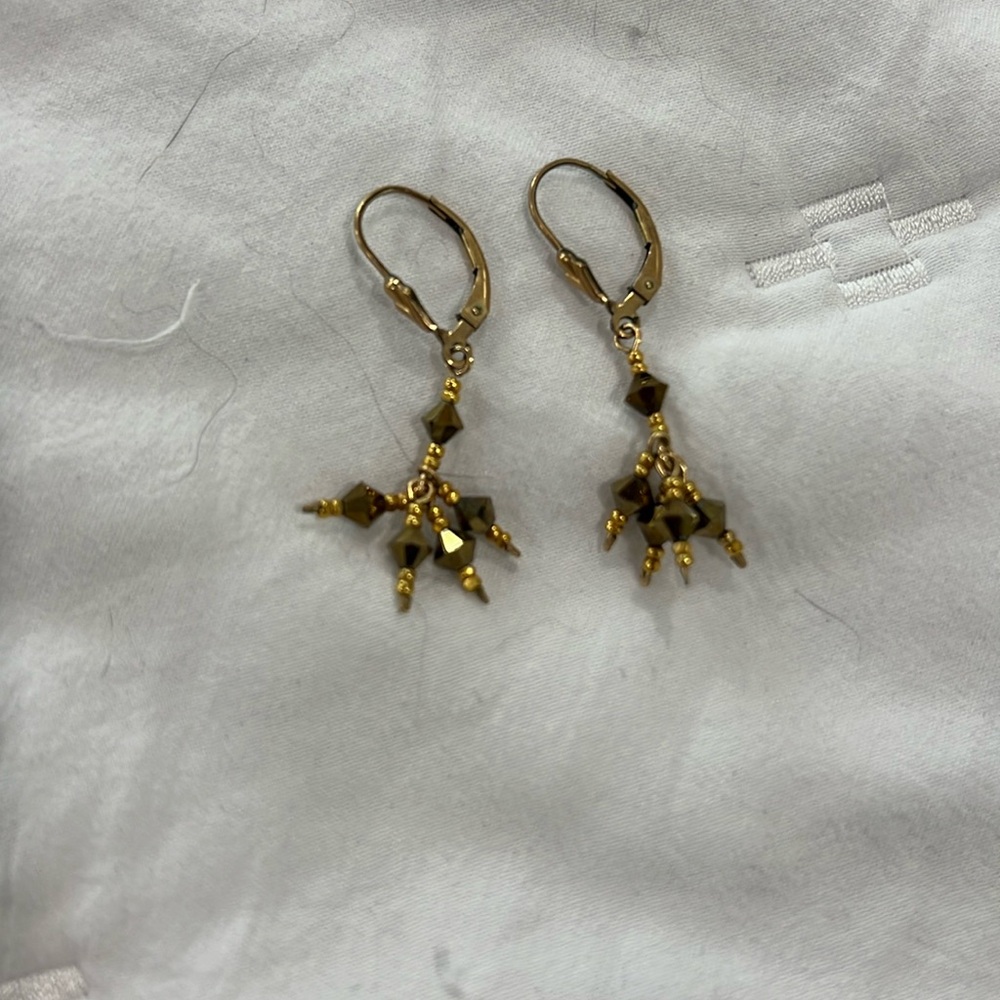 Gold and Brown Earrings